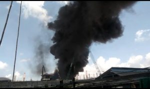 Capture 2019-08-15 14.50.08