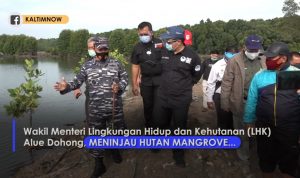 Screenshot_20200923-110613_YouTube