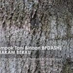 Screenshot_20201027-095129_YouTube