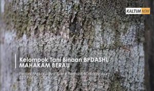 Screenshot_20201027-095129_YouTube