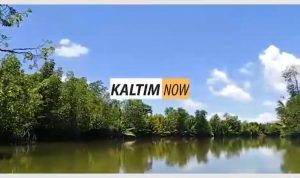 Screenshot_20201101-145801_YouTube