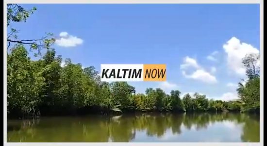 Screenshot_20201101-145801_YouTube