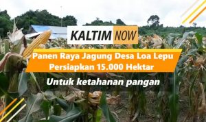 Screenshot_20201114-154330_YouTube