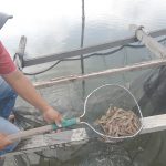 WhatsApp Image 2020-11-23 at 14.17.36 (1)