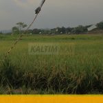 7692C075-9A0C-469B-AB93-94A65CAB19C6