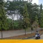 AB239C1A-2479-44D8-B40B-B95391BB25DC