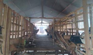 Poktan-Kambing-Lestari-e1605874796498-1024x622