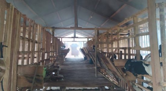 Poktan-Kambing-Lestari-e1605874796498-1024x622