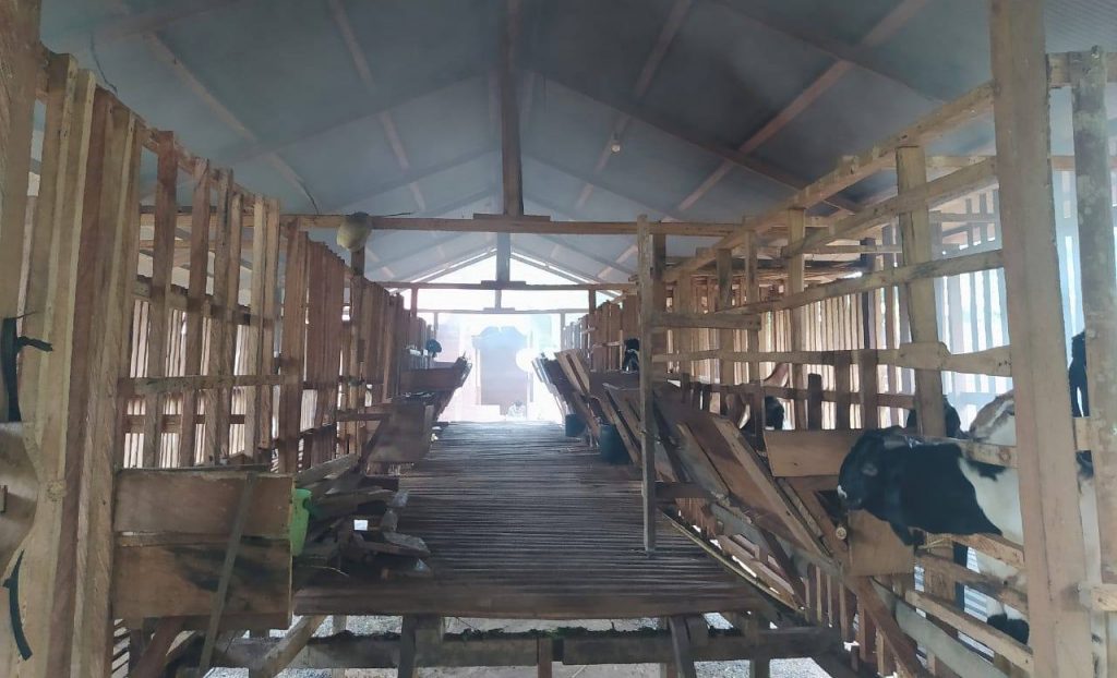 Poktan-Kambing-Lestari-e1605874796498-1024x622
