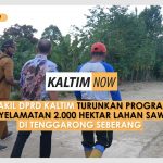 Screenshot_20201204-132323_Video Player