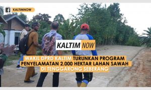 Screenshot_20201204-132323_Video Player