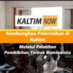 Screenshot_20201223-221607_YouTube