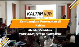 Screenshot_20201223-221607_YouTube