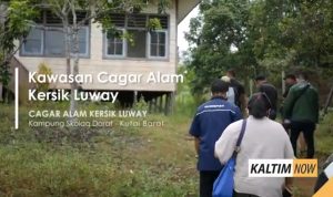 Screenshot_20201230-120354_YouTube