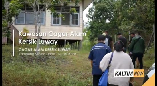 Screenshot_20201230-120354_YouTube