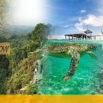 WhatsApp Image 2020-12-07 at 19.57.30