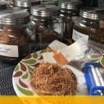 7B5B3CF5-A674-4E96-88ED-5A47CA6D81AF