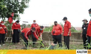 IMG-20210110-WA0132