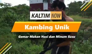 Screenshot_20210110-211057_YouTube