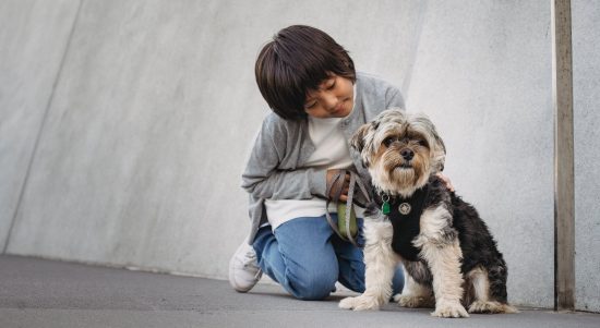 Ilustrasi : Seorang anak kecil sedang mengajak anjingnya jalan-jalan