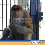 191484F5-1A87-44CD-96E1-7B20F7028FF8