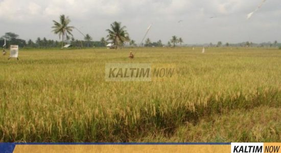 jpg_20220329_152122_0000