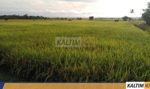 jpg_20220715_105452_0000