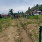 Foto Ilustrasi : Perkebunan. Sumber Foto : Istimewa.