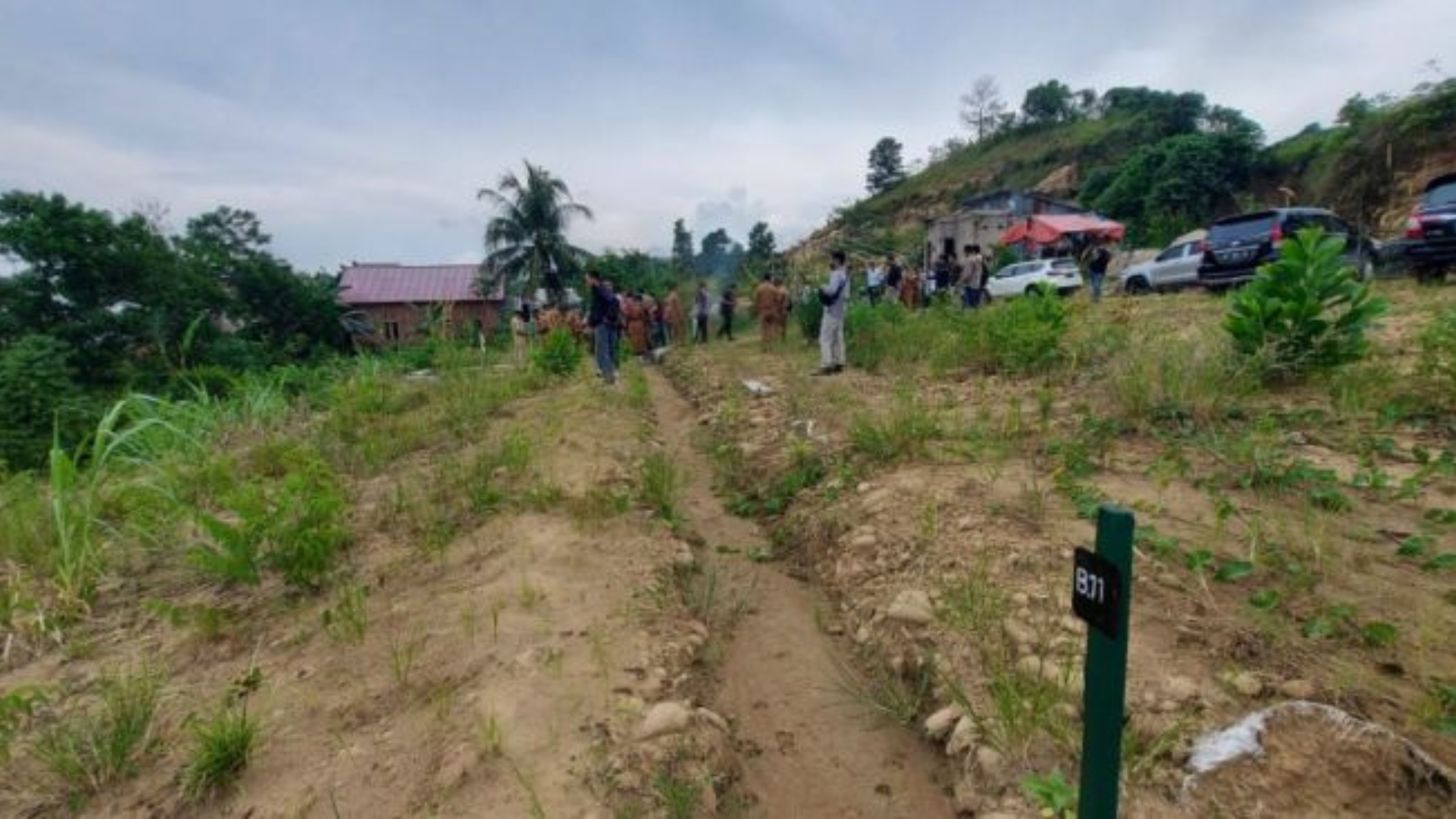 Foto Ilustrasi : Perkebunan. Sumber Foto : Istimewa.