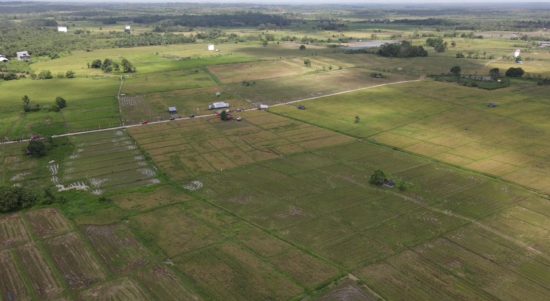 jpg_20221021_230219_0000