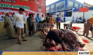 jpg_20230701_195023_0000