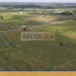 kawasan pertanian