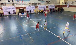 artikel 8 BK PON