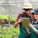 Ilustrasi petani milenial. SHUTTERSTOCK