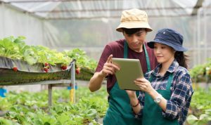 Ilustrasi petani milenial. SHUTTERSTOCK