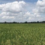 Kecamatan Loa Kulu Harap Kolaborasi Dinas Pertanian, Guna Latih Petani Milenial