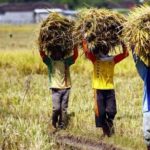 Desa Rapak Lembur Terpilih Jadi Lokus PPE dan Dapat Bantuan Sarana Produksi Pertanian