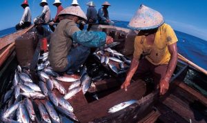 Camat Muara Badak Harap Dukungan Pemkab Kukar Terkait Pengembangan Sektor Perikanan