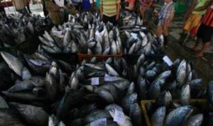 TPI Baru di Anggana dan Samboja, Dorong Kemajuan Sektor Perikanan