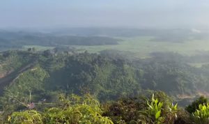 Puncak Bukit Biru di Desa Sumber Sari