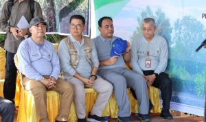 Asisten I Kukar Dukung Program Rehabilitasi DAS dengan Penanaman Mangrove