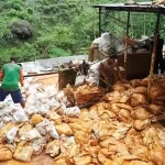 Foto : aktivitas pertambangan PT Gemilang Limpah Internusa (GLI) Pacitan. Sumber : Istimewa Foto : aktivitas pertambangan PT Gemilang Limpah Internusa (GLI) Pacitan. Sumber : Istimewa