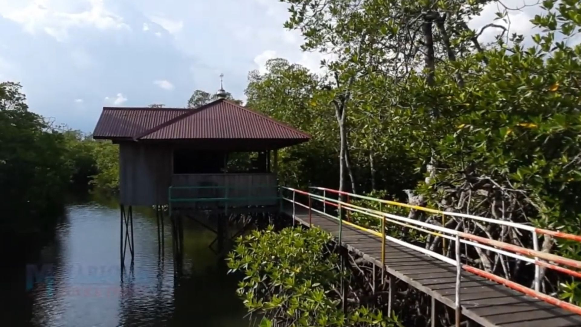 Mangrove Mentawir: Masa Depan Pariwisata Berkelanjutan di Penajam Paser Utara