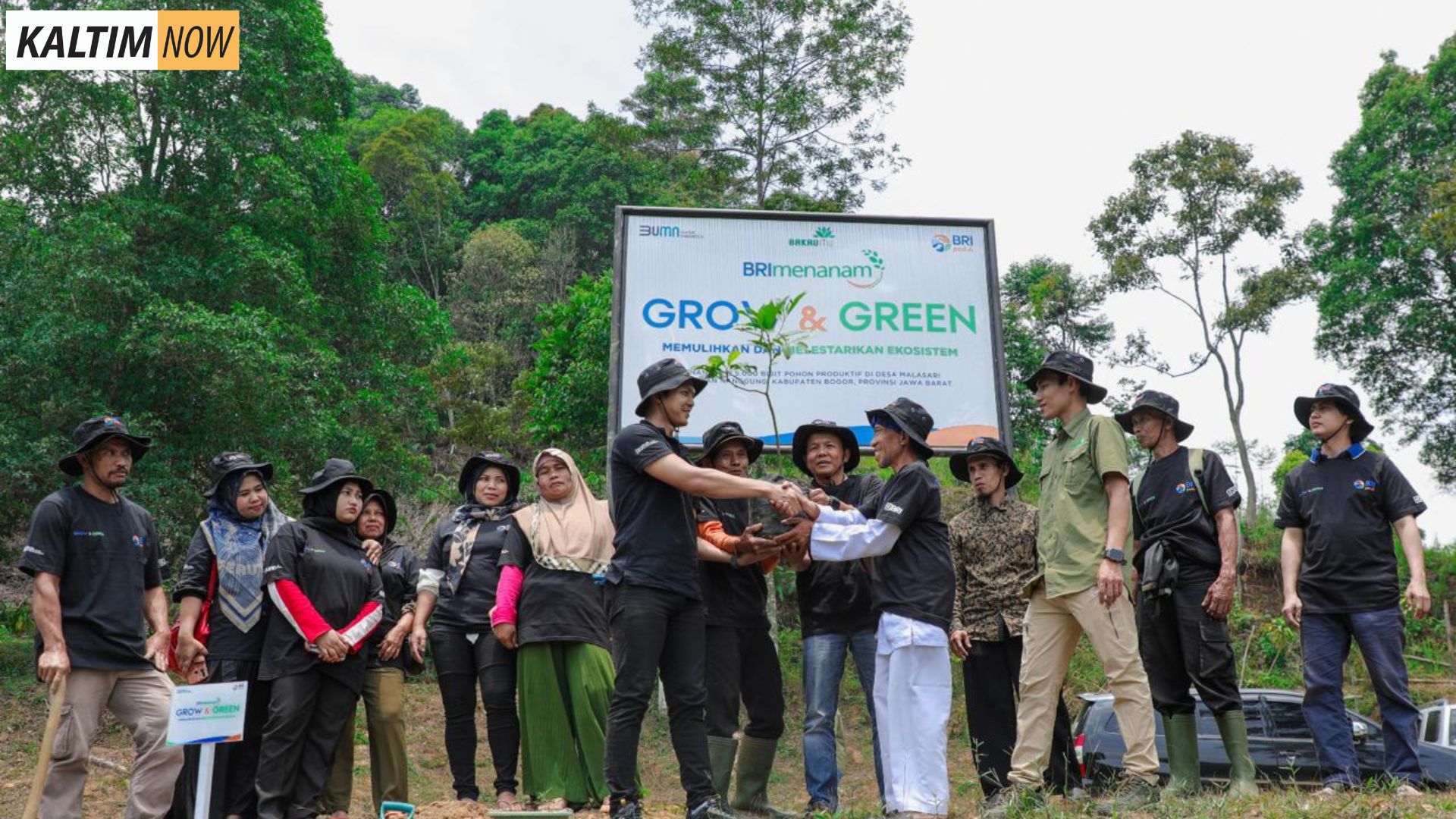 Foto : BRI Menanam Grow & Green dan PKTH Pabangbon Menanam Pohon. Sumber : BRI.