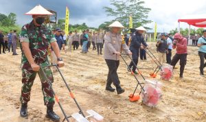 Polresta Samarinda Gelar Aksi Penanaman Jagung untuk Perkuat Ketahanan Pangan