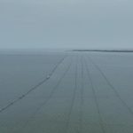 Foto : Pagar Laut di Perairan Tanggerang. Sumber Foto : Istimewa. Foto : Pagar Laut di Perairan Tanggerang. Sumber Foto : Istimewa.