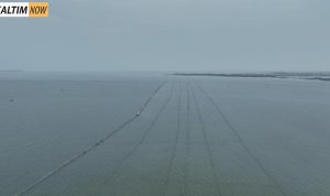 Foto : Pagar Laut di Perairan Tanggerang. Sumber Foto : Istimewa. Foto : Pagar Laut di Perairan Tanggerang. Sumber Foto : Istimewa.