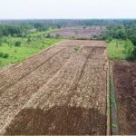 Disketapang Kukar Percepat Pembangunan Lumbung Pangan untuk Sejahterakan Petani