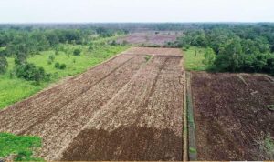 Disketapang Kukar Percepat Pembangunan Lumbung Pangan untuk Sejahterakan Petani