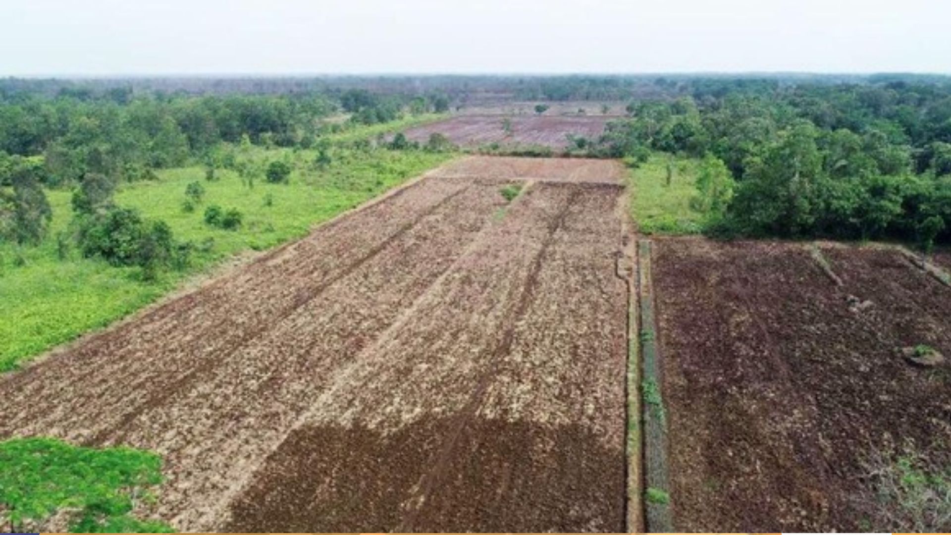 Disketapang Kukar Percepat Pembangunan Lumbung Pangan untuk Sejahterakan Petani